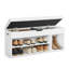 Hadid 4 -Shelf Storage Cabinet-596968069