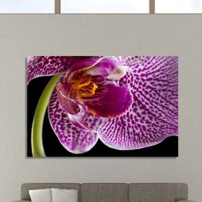 Purple Orchid 2 by Barry Seidman - Wrapped Canvas Print