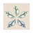 Seaside Star I by Albert Koetsier - Wrapped Canvas Graphic Art-1143156843