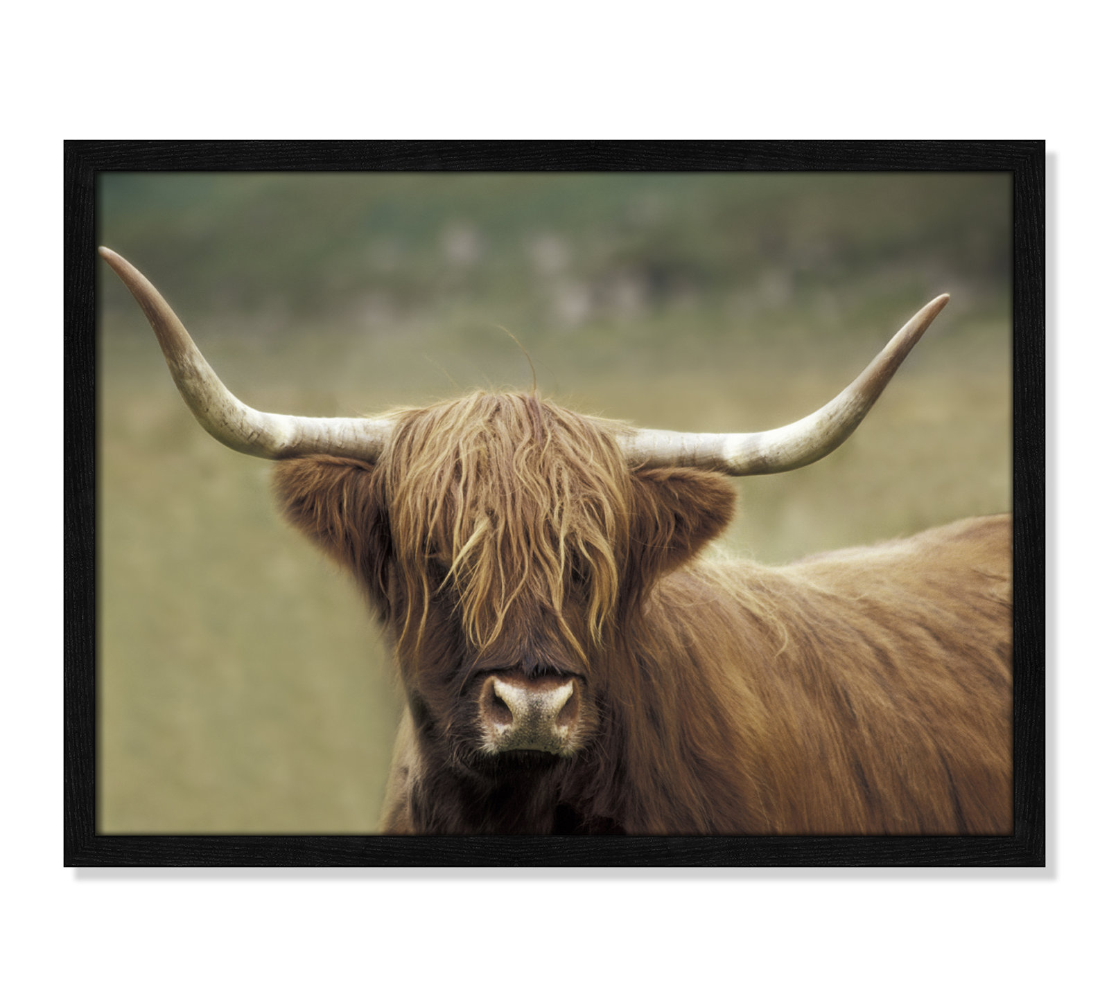 Frederic "Highland Afternoon" Print, 17" H x 23" W x 0.75" D, Black Wood Grain Framed