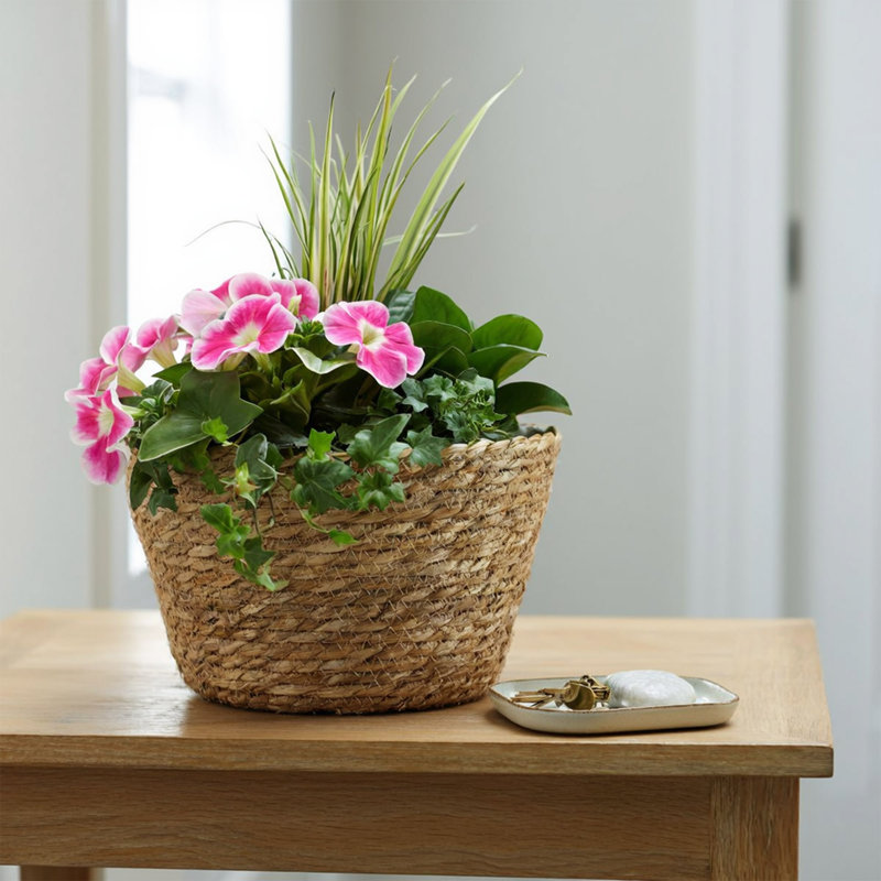 Ensemble de 3 paniers de jardinière tissés en jacinthe d'eau avec doublure en plastique, plante de plancher bohème rustique et paniers de rangement