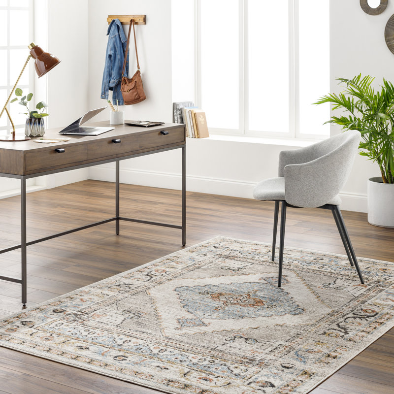 Labombard Traditional Blue and Rust Area Rug, Rectangle 9' x 12'