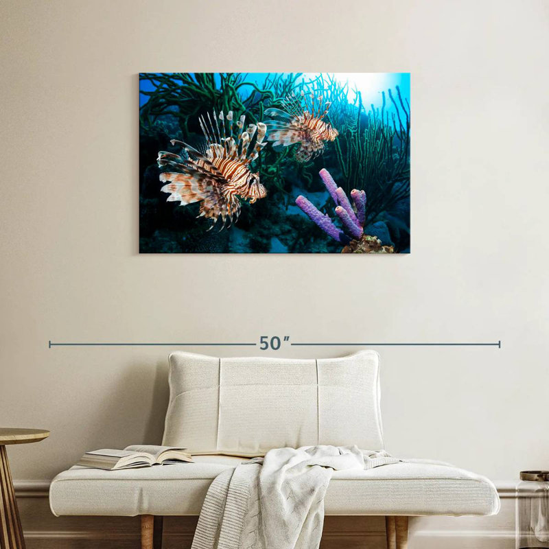 Brampt Atlantic Ocean Lionfish, 24" H x 36" W