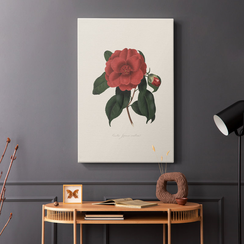 Imprimé floral rétro CXC III - galerie enveloppée Cavas, H 27 po x l 18 po