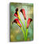 "Fleurs rouges" par Mark Ashkenazi-986636607