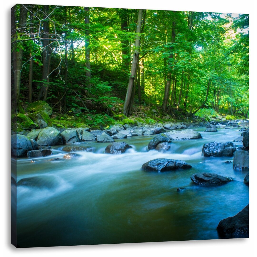 Leinwandbild Schöner Fluss im Wald mit Steinen