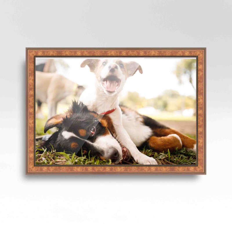 Dinovo Brown Solid Wood Picture Frame, 10" W x 24" H