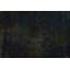 Tapis unique 7 pi 9 po x 11 pi Gavyne