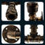 Avent Armed Sconce-30014073