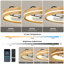 Ventilateur de plafond de 50 cm avec lumière, application et télécommande, DEL à intensité variable pour chambre ou salon-1627041798-1627041797