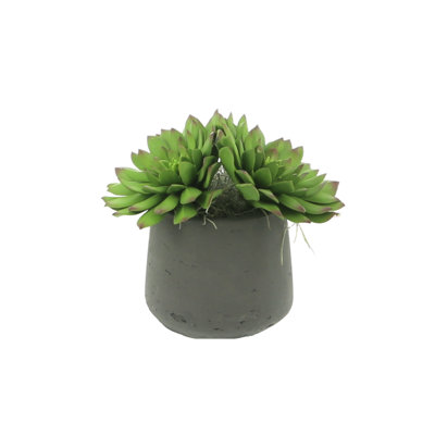 Rockridge Faux Succulent Plant in Fiberstone Pot