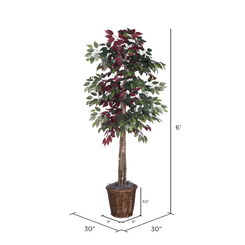 72'' Faux Tree in Wicker/Rattan Basket