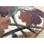 Tapis de couloir Aethera-888580971