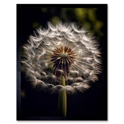 Mekaylah Dandelion Flower - Single Picture Frame Print