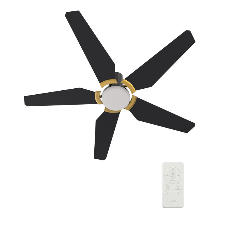 Smart DC Ceiling Fan with Light, Remote Control Flush-Mounted, Black/Gold, 48"