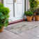 Machine Washable Indoor/Outdoor Claudian ACN1630 Taupe Rug