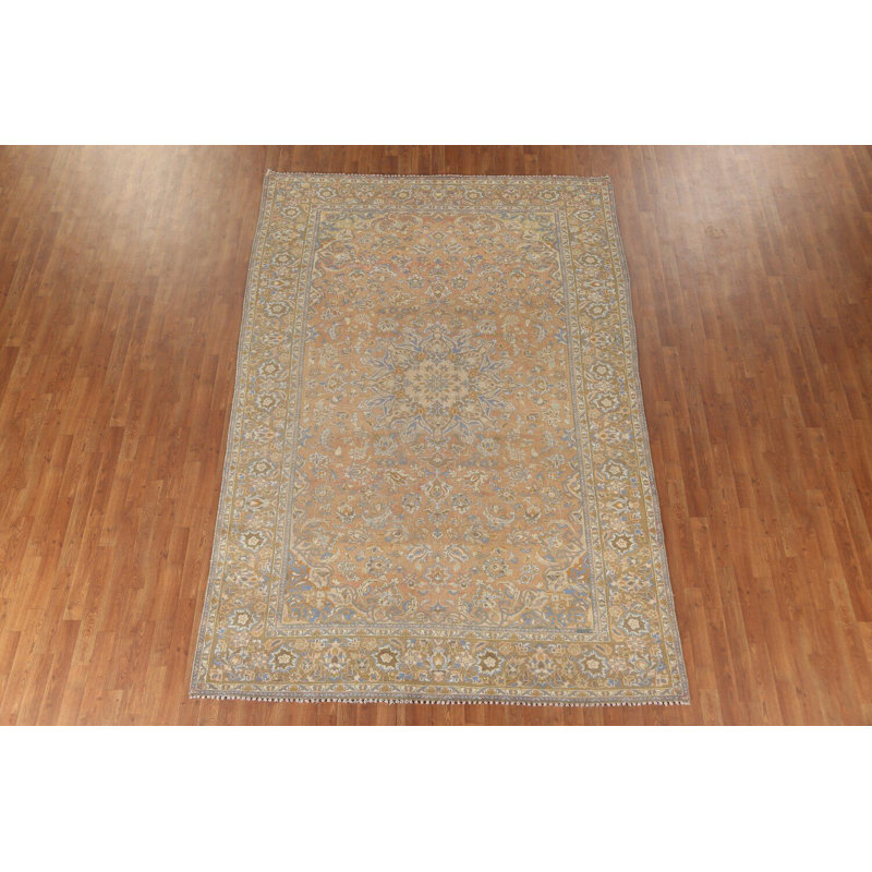 Traditional Area Rug 7x10
