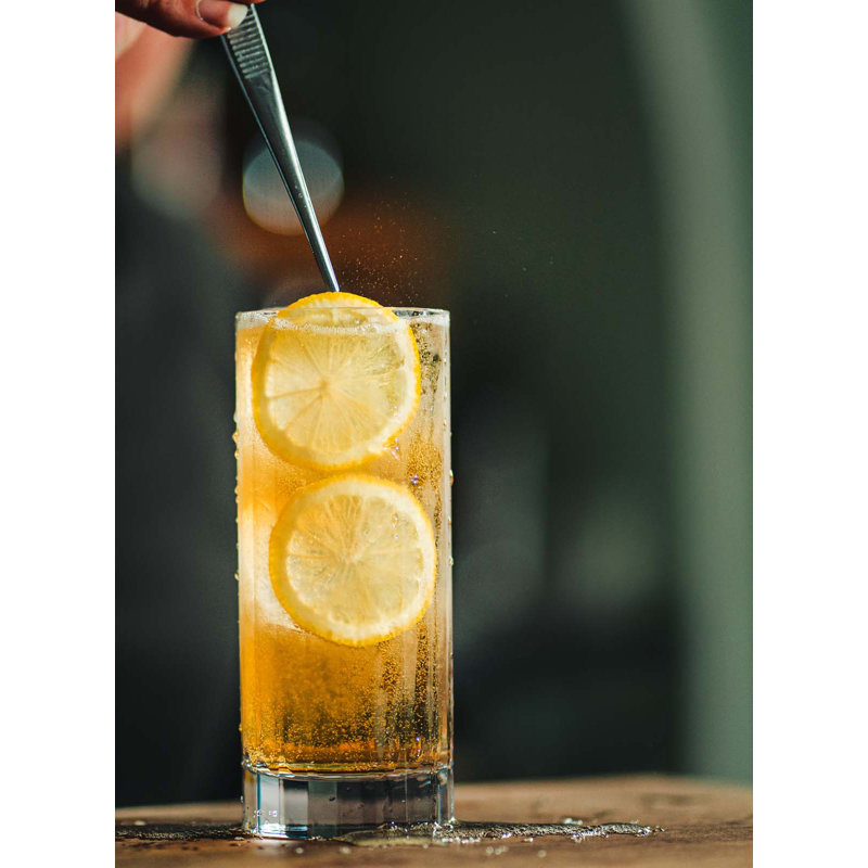  12 oz Verre à gin en polycarbonate