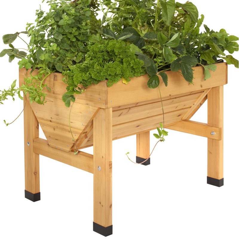 Classic VegTrug - Natural (FSC 100%), Small