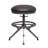 Amenata Swivel Upholstered Adjustable Height Counter Stool