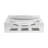 Chrome Bear White Acrylic Candy Catchall Dish-126232026