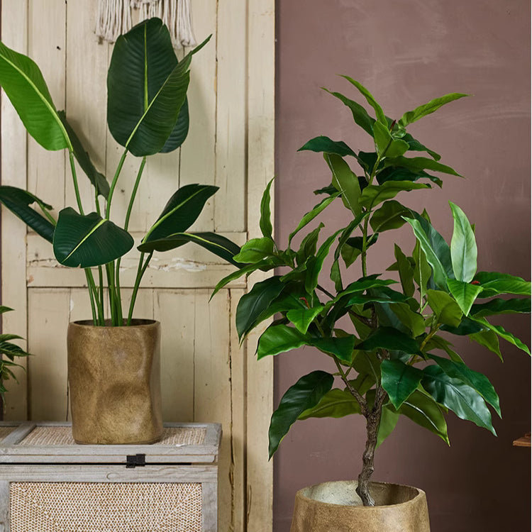 Modern Magnesium Planter, 14.5" H x 11.6" W x 11.6" D