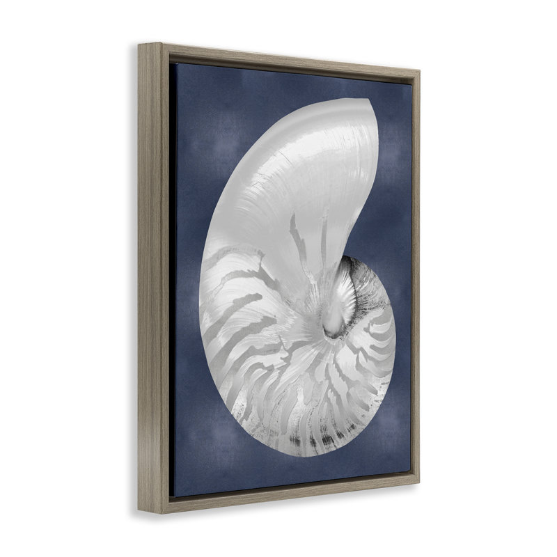 «Nautilus rayé sur toile flottante» par Caroline Kelly, Cadre flottant orme Montalcino, H 21 po x l 17 po