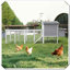 Grande cage à poules en bois-280656708