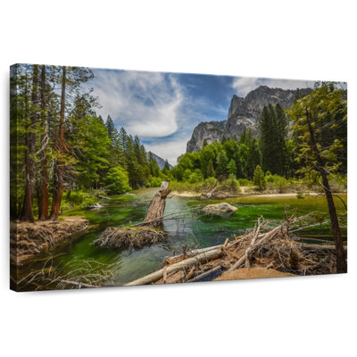 Alvord Majestic Kings River