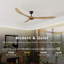 Ventilateur de plafond-1528460784-1528460787
