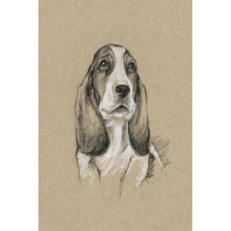 Breed Sketches VI by Ethan Harper - Painting Print, 122cm H x 81cm W, Wrapped Canvas