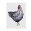 « life on the farm, élément de poulet », reproduction d’art sur toile tendue-31878715