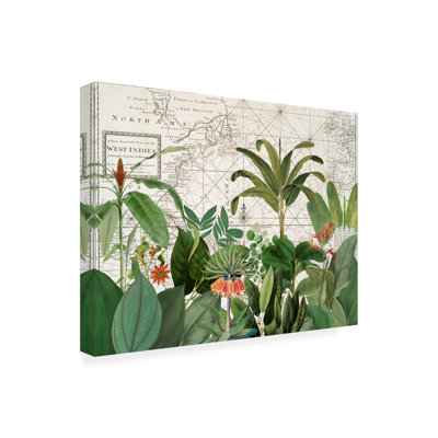 Andrea Haase Exotic Wildlife 005 Canvas Art
