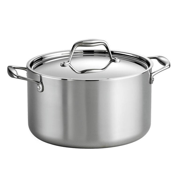 https://assets.wfcdn.com/im/75412977/resize-h755-w755%5Ecompr-r85/1417/14178340/Tramontina+Gourmet+Tri-Ply+Clad+6+Qt.+Stock+Pot+with+Lid.jpg