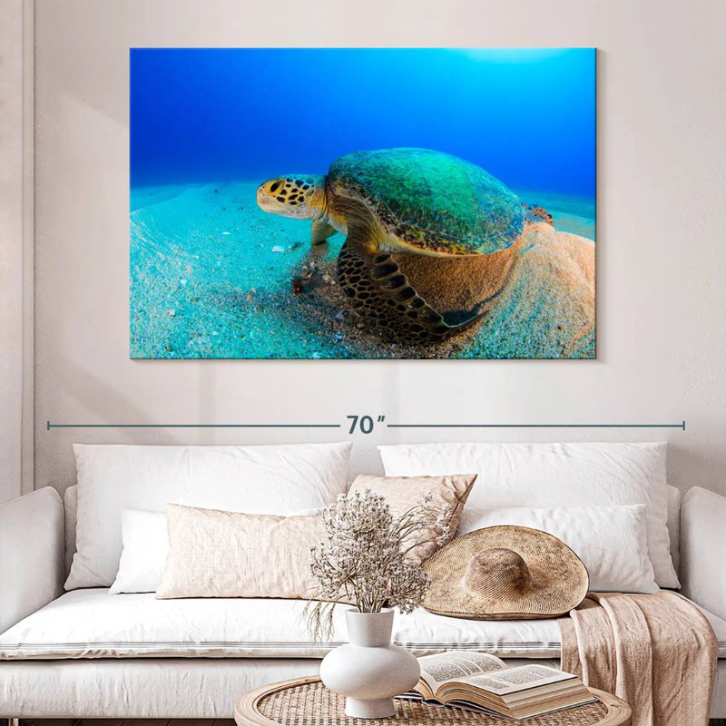 Brampt Resting Sea Turtle, 34" H x 51" W