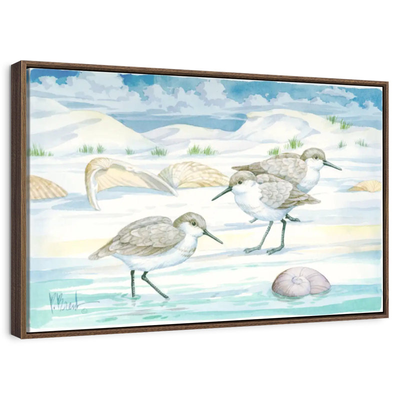 Shell Island Sandpipers, Floating Frame Walnut, 40" X 27"