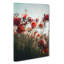 Poppy Flowers In Abstract - Wrapped Canvas-55322556