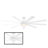 Wynd XL 9 - Blade Outdoor/ Indoor Smart Ceiling Fan with Remote Control and LED Light Kit Included, Works With Alexa and iOS / Android App-55426052