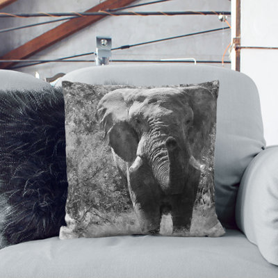 Square Throw Cushion