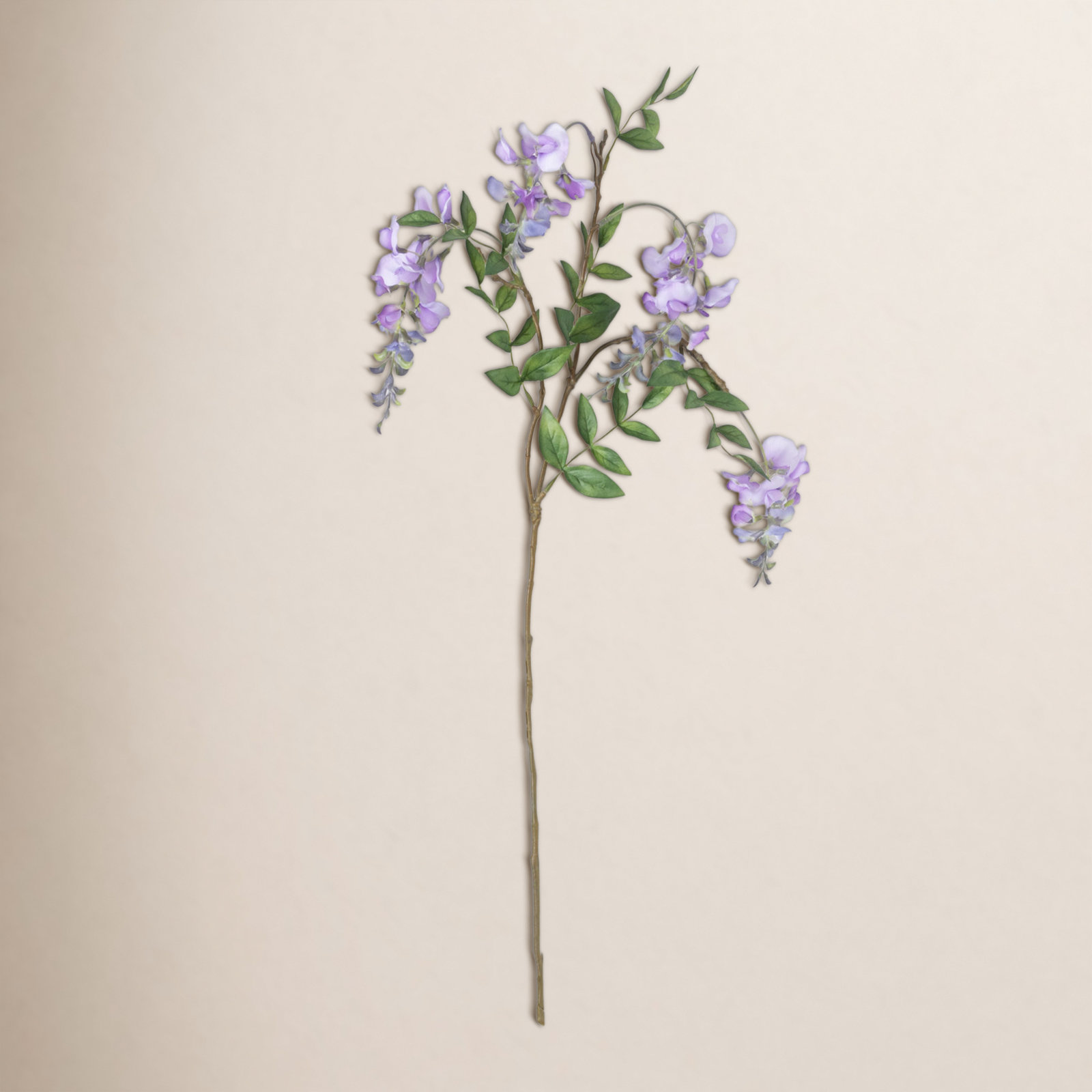 Wisteria Spray