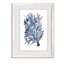 «Seaweed Under Water II», reproduction sur verre encadrée-678182225-678182312