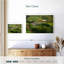 Lilie Glenfinnan Viaduct Landscape-108929179