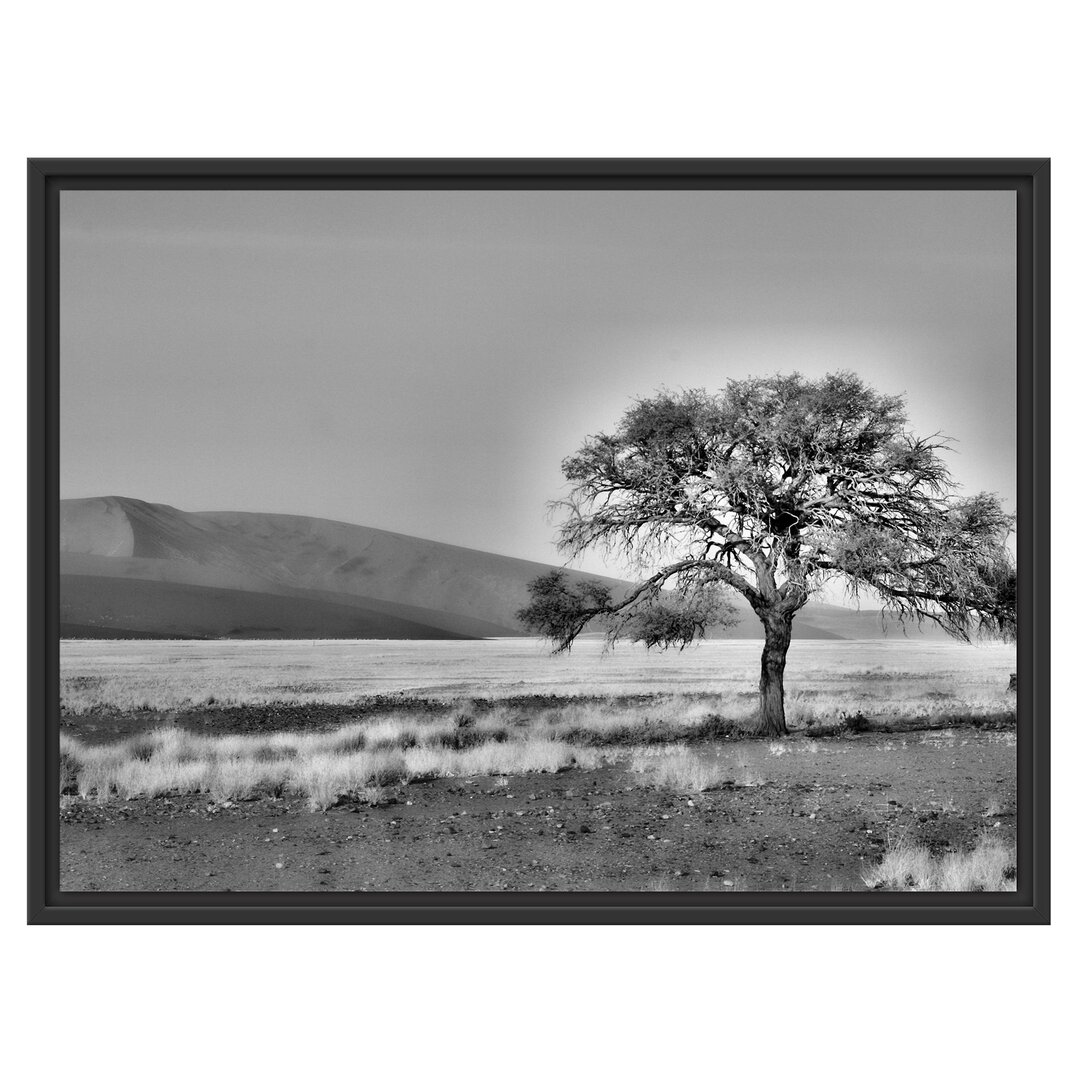 Gerahmtes Wandbild einzelner Baum in Wüste