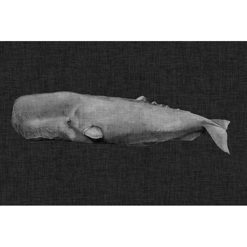 Baleine inversée I, H 8 po x l 12 po