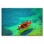 Shallow Shores Print-23528174