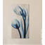 «Blue Tulips», reproduction d'impression sur bois
