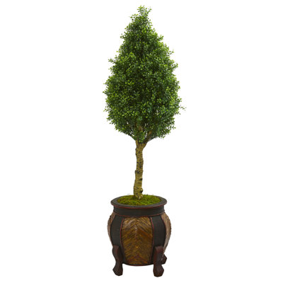 54'' Faux Moss Tree in Ceramic Planter