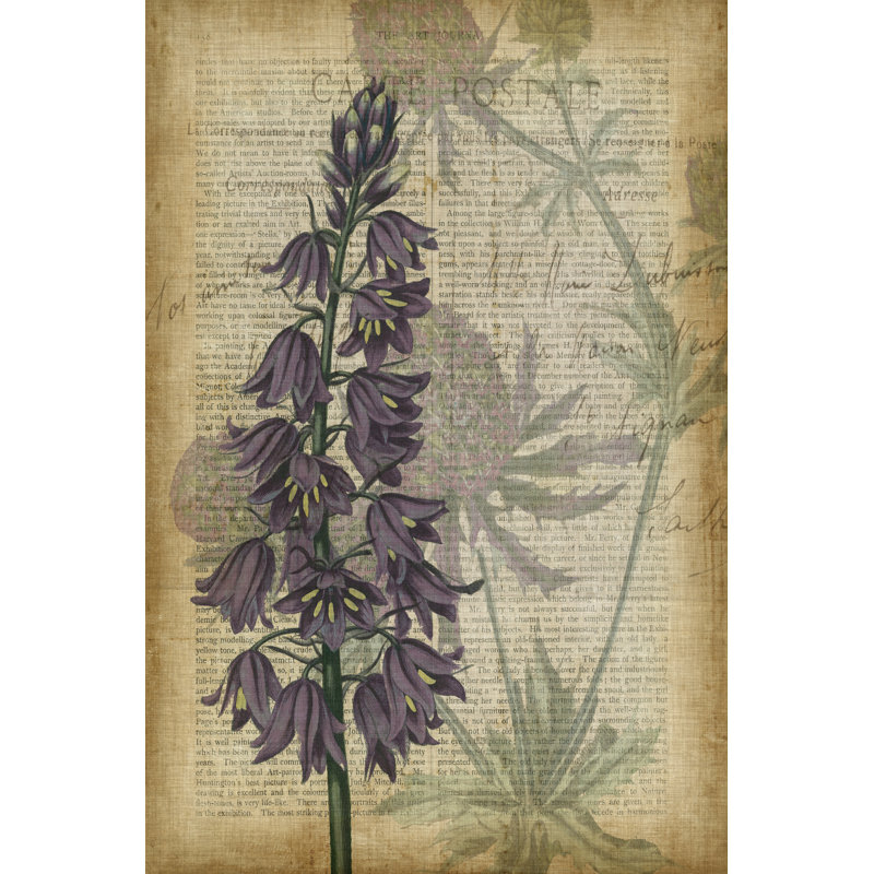 Fuchsia Flowers IV - Wrapped Canvas Painting, 91cm H x 61cm W