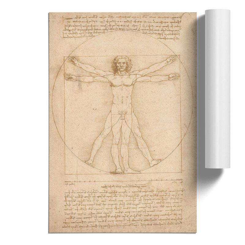 Vitruvian Man Vol.2 by Leonardo Da Vinci - No Frame Print, 42cm H x 30cm W x 0.1cm D
