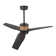 52 In. 3 Solid Wood Blades Indoor Ceiling Fan With Led Light